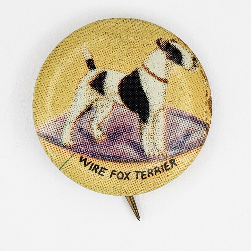 Unbranded Pinback Metal 0.8in Yellow Wire Fox Terrier Screen Printed Vintage Pin